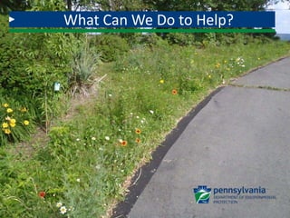 What Can We Do to Help?
 