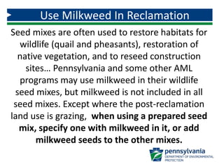 Use Milkweed In Reclamation
Seed mixes are often used to restore habitats for
wildlife (quail and pheasants), restoration of
native vegetation, and to reseed construction
sites… Pennsylvania and some other AML
programs may use milkweed in their wildlife
seed mixes, but milkweed is not included in all
seed mixes. Except where the post-reclamation
land use is grazing, when using a prepared seed
mix, specify one with milkweed in it, or add
milkweed seeds to the other mixes.
 
