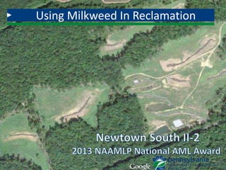 Using Milkweed In Reclamation
 
