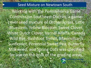 Seed Mixture on Newtown South
Working with the Pennsylvania Game
Commission Southeast District, a game-
cover seed mixture of Orchardgrass, Little
Bluestem, Yellow Blossom Sweet Clover,
White Dutch Clover, Vernal Alfalfa, Canada
Wild Rye, Birdsfoot Trefoil, Maximillian’s
Sunflower, Perennial Sweet Pea, Butterfly
Milkweed, and Spring Oats was specified
for use on the bulk of the grading areas.
 