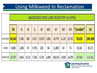 Using Milkweed In Reclamation
 