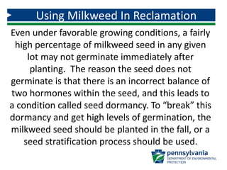Using Milkweed In Reclamation
Even under favorable growing conditions, a fairly
high percentage of milkweed seed in any given
lot may not germinate immediately after
planting. The reason the seed does not
germinate is that there is an incorrect balance of
two hormones within the seed, and this leads to
a condition called seed dormancy. To “break” this
dormancy and get high levels of germination, the
milkweed seed should be planted in the fall, or a
seed stratification process should be used.
 