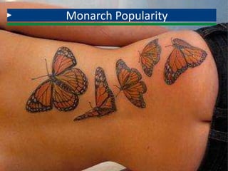 Monarch Popularity
 