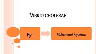 VIBRIO CHOLERAE
By : Mohammed k younus
 