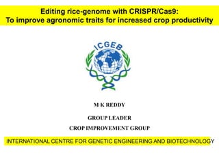 M K REDDY
GROUP LEADER
CROP IMPROVEMENT GROUP
INTERNATIONAL CENTRE FOR GENETIC ENGINEERING AND BIOTECHNOLOGY
Editing rice-genome with CRISPR/Cas9:
To improve agronomic traits for increased crop productivity
 