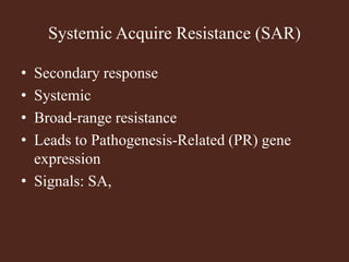Systemic Acquire Resistance (SAR)
• Secondary response
• Systemic
• Broad-range resistance
• Leads to Pathogenesis-Related (PR) gene
expression
• Signals: SA,
 
