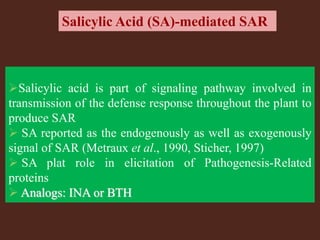 Salicylic Acid (SA)-mediated SAR
Salicylic acid is part of signaling pathway involved in
transmission of the defense response throughout the plant to
produce SAR
 SA reported as the endogenously as well as exogenously
signal of SAR (Metraux et al., 1990, Sticher, 1997)
 SA plat role in elicitation of Pathogenesis-Related
proteins
 Analogs: INA or BTH
 