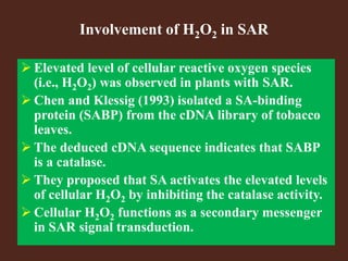 Involvement of H2O2 in SAR
 Elevated level of cellular reactive oxygen species
(i.e., H2O2) was observed in plants with SAR.
 Chen and Klessig (1993) isolated a SA-binding
protein (SABP) from the cDNA library of tobacco
leaves.
 The deduced cDNA sequence indicates that SABP
is a catalase.
 They proposed that SA activates the elevated levels
of cellular H2O2 by inhibiting the catalase activity.
 Cellular H2O2 functions as a secondary messenger
in SAR signal transduction.
 