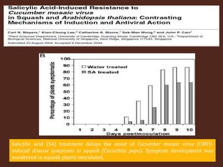 Salicylic acid (SA) treatment delays the onset of Cucumber mosaic virus (CMV)-
induced disease symptoms in squash (Cucurbita pepo). Symptom development was
monitored in squash plants inoculated.
 
