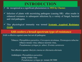  Ist recognized as a significant phenomenon in 1933 by Chester.
 Infection of plants with necrotizing pathogens (causing HR) often results in
enhanced resistance to subsequent infections by a variety of fungal, bacterial
and viral pathogens.
 This physiological immunity was termed Systemic Acquired Resistance
(SAR).
SAR confers a broad spectrum type of resistance
SAR is effective against some but not all pathogens:
Tobacco: Phytophthora parasitica, Cercospora nicotianae, Peronospora tabacina
tobacco mosaic virus, tobacco necrosis virus,
Pseudomonas syringae pv. tabaci, Erwinia carotovora
Not effective against: Botrytis cinerea or Alternaria alternata
Arabidopsis: Phytophthora parasitica
turnip crinkle virus
Pseudomonas syringae pv. tomato DC3000
INTRODUCTION
 