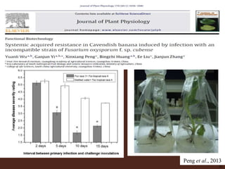 31
Peng et al., 2013
 