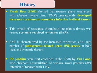  Frank Ross (1961) showed that tobacco plants challenged
with tobacco mosaic virus (TMV) subsequently developed
increased resistance to secondary infection in distal tissues.
 This spread of resistance throughout the plant’s tissues was
termed systemic acquired resistance (SAR).
 SAR is characterized by the increased expression of a large
number of pathogenesis-related genes (PR genes), in both
local and systemic tissues.
 PR proteins were first described in the 1970s by Van Loon,
who observed accumulation of various novel proteins after
infection of tobacco with TMV.
History
 