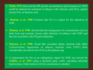  White 1979 observed that PR protein accumulation and resistance to TMV
could be induced by treatment of tobacco with salicylic acid (SA), aspirin
(acetyl SA), or benzoic acid.
 Malamy et al., 1990 Evidence that SA is a signal for the induction of
SAR.
 Malamy et al. 1990: showed that the endogenous SA concentration rises in
both local and systemic tissues after infection of tobacco with TMV and
this rise correlates with PR gene induction.
 Metraux et al. 1990: found that cucumber plants infected with either
Colletotrichum lagenarium or tobacco necrosis virus (TNV) have
considerably elevated levels of SA in the phloem sap.
 A requirement for SA as an endogenous signal for SAR was proven by
Gaffney et al. 1993 using a bacterial gene, nahG, encoding salicylate
hydroxylase, which removes SA by conversion to catechol
 