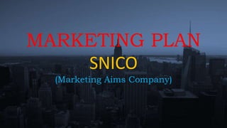MARKETING PLAN
SNICO
(Marketing Aims Company)
 