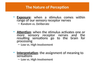 The Nature of Perception
• Exposure: when a stimulus comes within
range of our sensory receptor nerves
– Random vs. Deliberate
• Attention: when the stimulus activates one or
more sensory receptor nerves and the
resulting sensations go to the brain for
processing
– Low vs. High Involvement
• Interpretation: the assignment of meaning to
sensations
– Low vs. High Involvement
 