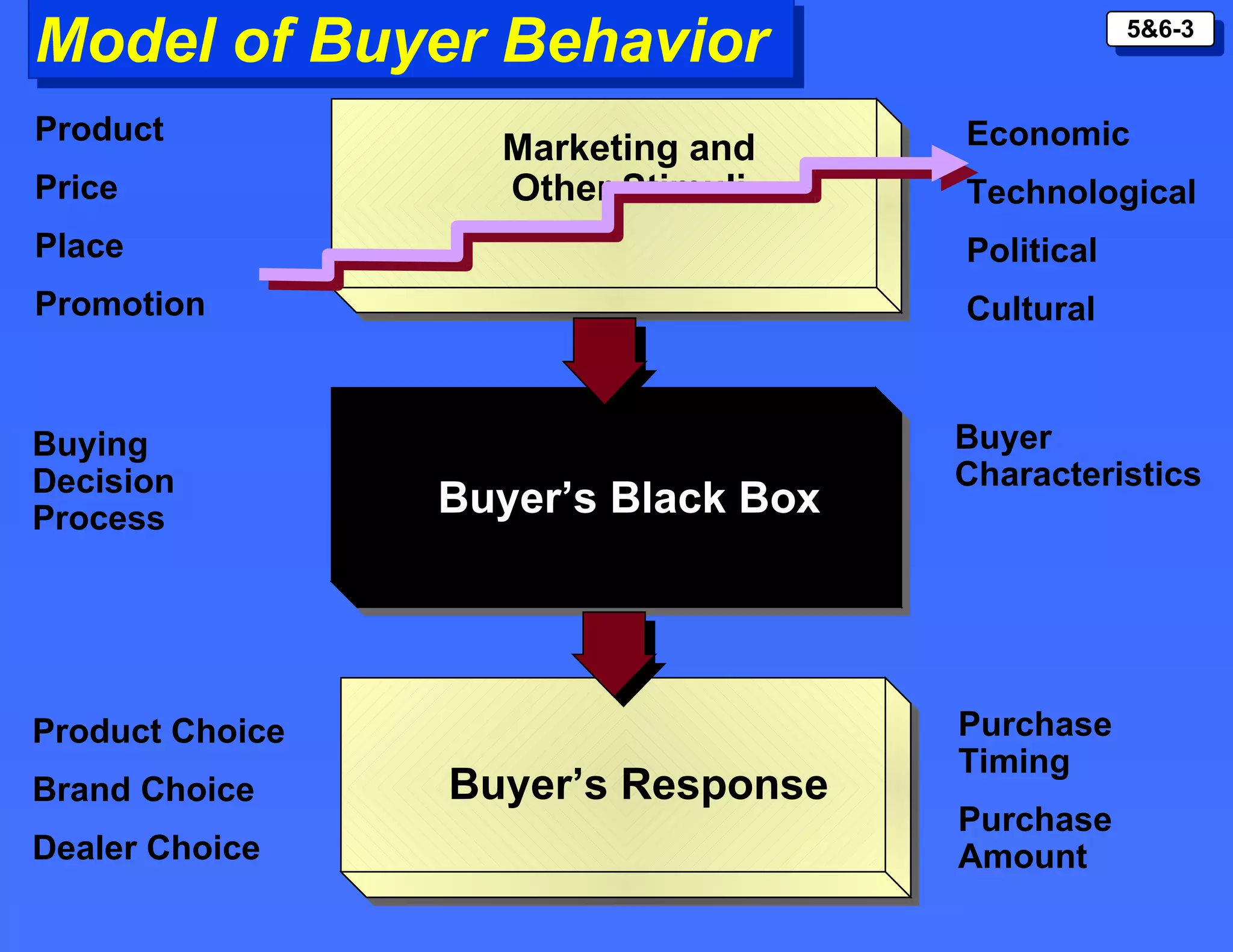 Model of Buyer Behavior Marketing and Other Stimuli Buyer’s Black Box Buyer’s Response Product Price Place Promotion Economic Technological Political Cultural Buyer Characteristics Buying Decision Process Product Choice Brand Choice Dealer Choice Purchase Timing Purchase Amount 