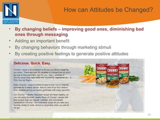 How can Attitudes be Changed? <ul><li>By changing beliefs – improving good ones, diminishing bad ones through messaging </...