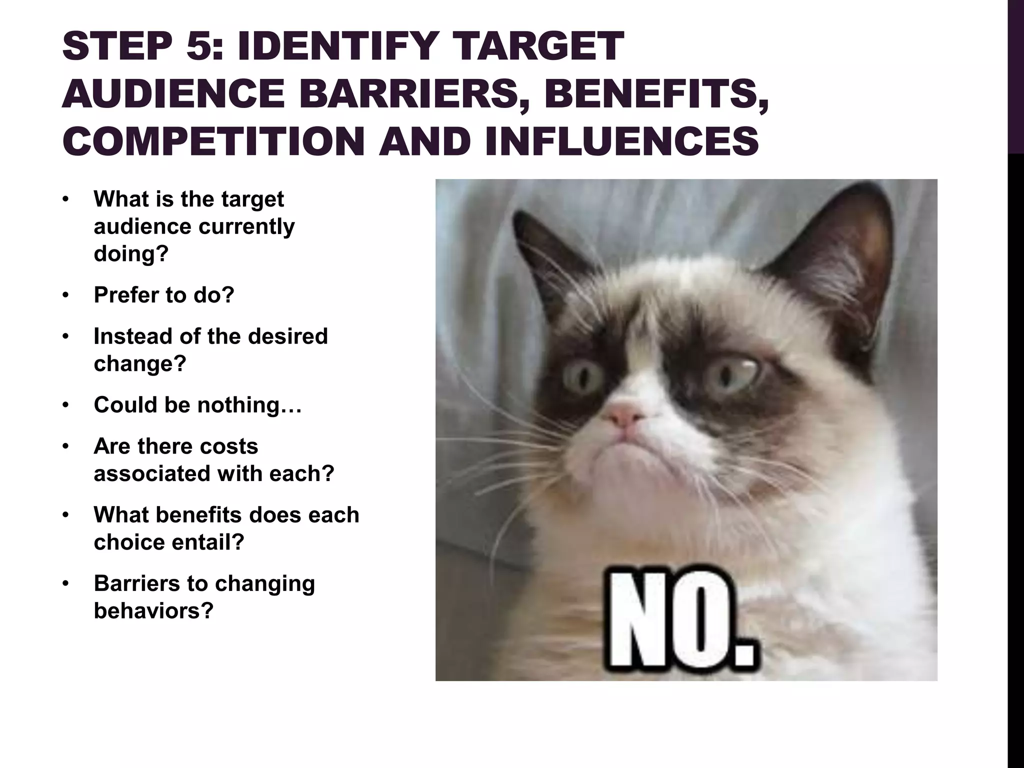 STEP 5: IDENTIFY TARGET
AUDIENCE BARRIERS, BENEFITS,
COMPETITION AND INFLUENCES
•   What is the target
    audience currently
    doing?
•   Prefer to do?
•   Instead of the desired
    change?
•   Could be nothing…
•   Are there costs
    associated with each?
•   What benefits does each
    choice entail?
•   Barriers to changing
    behaviors?
 