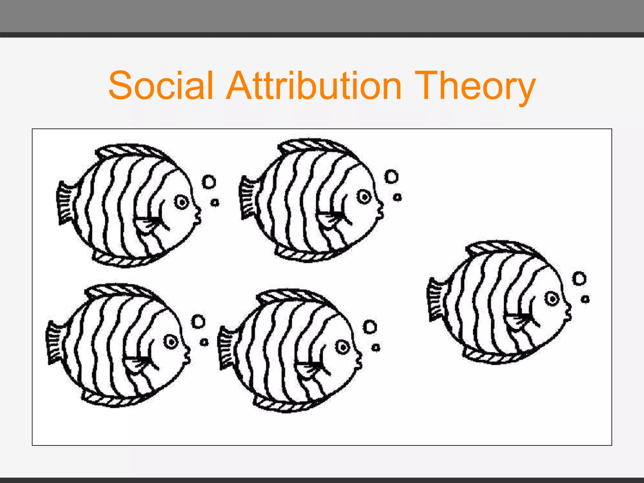 Social Attribution Theory 