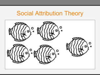 Social Attribution Theory 