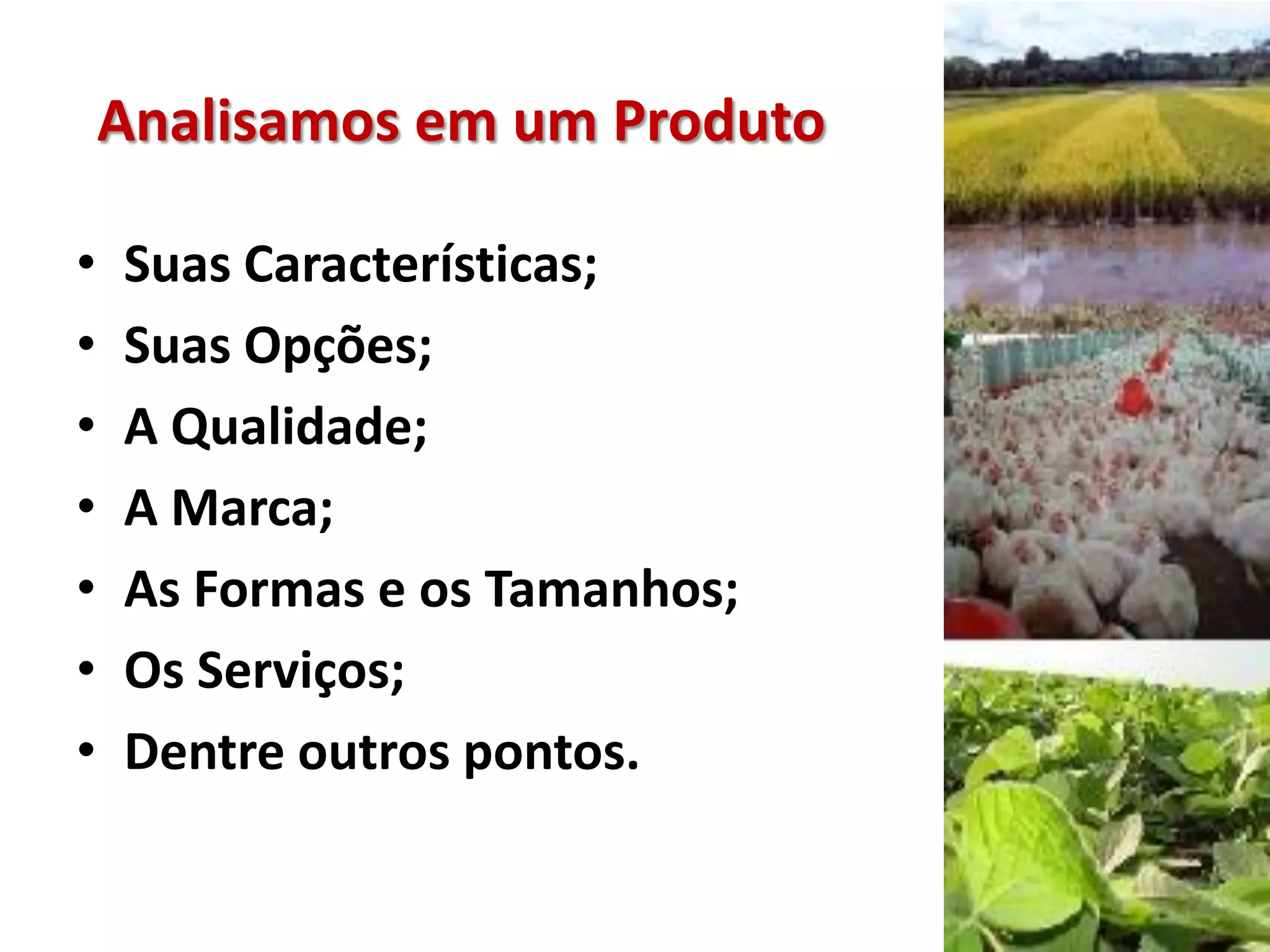 Analisamos em um Produto
• Suas Características;
• Suas Opções;
• A Qualidade;
• A Marca;
• As Formas e os Tamanhos;
• Os Serviços;
• Dentre outros pontos.
 