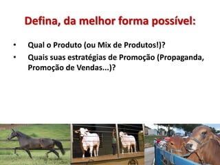 Defina, da melhor forma possível:
• Qual o Produto (ou Mix de Produtos!)?
• Quais suas estratégias de Promoção (Propaganda,
Promoção de Vendas...)?
 