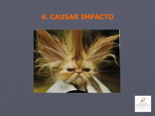 6. CAUSAR IMPACTO 