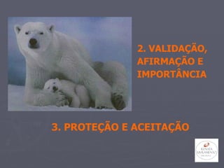 3. PROTEÇÃO E ACEITAÇÃO 2. VALIDAÇÃO,  AFIRMAÇÃO E  IMPORTÂNCIA 