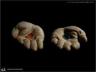 :: e vc? vai ver até a toca do coelho te leva? 