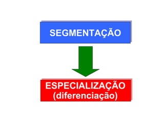 SEGMENTAÇÃO




ESPECIALIZAÇÃO
 (diferenciação)
 