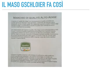 IL MASO GSCHLOIER FA COSÌ
 