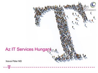 Az IT Services Hungary

Ilosvai Péter MD
 