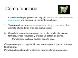 Cómo funciona:
1. Cuando hueles por primera vez algo, lo vinculas inconscientemente
a un evento, una persona, un momento o un lugar.
2. Tu cerebro forja una asociación entre el olor y un recuerdo. Por
ejemplo, el olor de los lirios con los funerales.
3. Cuando te encuentras de nuevo con el olor, el vínculo ya está
formado, evoca recuerdos y provoca un estado de ánimo.
Por ejemplo: los lirios, podrían ponerte triste.
Otra persona que no haya tenido esa vivencia puede que no relacione
lirios-funeral.
Por ello no todo el mundo prefiere los mismos olores (asociación).
 