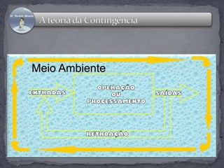 Meio Ambiente 
 