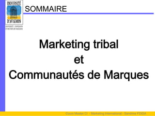 SOMMAIRE



    Marketing tribal
          et
Communautés de Marques


         Cours Master CI - Marketing International - Sandrine FDIDA
 