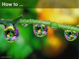 De Steve Wall en Flickr
How to ...
 