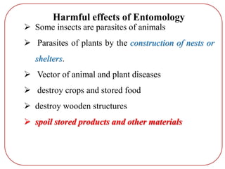  Some insects are parasites of animals
 Parasites of plants by the construction of nests or
shelters.
 Vector of animal and plant diseases
 destroy crops and stored food
 destroy wooden structures
 spoil stored products and other materials
Harmful effects of Entomology
 
