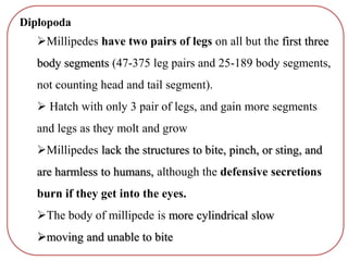 Diplopoda
Millipedes have two pairs of legs on all but the first three
body segments (47-375 leg pairs and 25-189 body segments,
not counting head and tail segment).
 Hatch with only 3 pair of legs, and gain more segments
and legs as they molt and grow
Millipedes lack the structures to bite, pinch, or sting, and
are harmless to humans, although the defensive secretions
burn if they get into the eyes.
The body of millipede is more cylindrical slow
moving and unable to bite
 