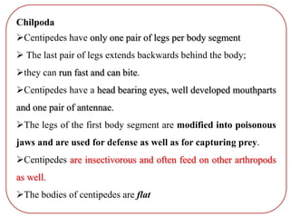 Chilpoda
Centipedes have only one pair of legs per body segment
 The last pair of legs extends backwards behind the body;
they can run fast and can bite.
Centipedes have a head bearing eyes, well developed mouthparts
and one pair of antennae.
The legs of the first body segment are modified into poisonous
jaws and are used for defense as well as for capturing prey.
Centipedes are insectivorous and often feed on other arthropods
as well.
The bodies of centipedes are flat
 