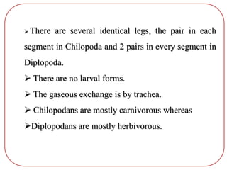  There are several identical legs, the pair in each
segment in Chilopoda and 2 pairs in every segment in
Diplopoda.
 There are no larval forms.
 The gaseous exchange is by trachea.
 Chilopodans are mostly carnivorous whereas
Diplopodans are mostly herbivorous.
 