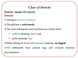 Class of Insecta
Insecta means Hexapoda
Insects
 belong to Animal kingdom.
The phylum is arthropoda.
The term arthropod is derived from two Greek word
 arthros meaning ‘joint’ and
 poda meaning ‘leg’
Order belong to insecta (Hexapoda) meaning six legged
All arthropods have jointed legs and external skeleton
(Exoskeleton)
 