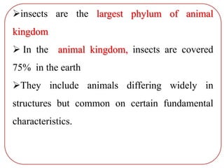 insects are the largest phylum of animal
kingdom
 In the animal kingdom, insects are covered
75% in the earth
They include animals differing widely in
structures but common on certain fundamental
characteristics.
 