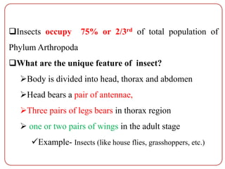 Insects occupy 75% or 2/3rd of total population of
Phylum Arthropoda
What are the unique feature of insect?
Body is divided into head, thorax and abdomen
Head bears a pair of antennae,
Three pairs of legs bears in thorax region
 one or two pairs of wings in the adult stage
Example- Insects (like house flies, grasshoppers, etc.)
 