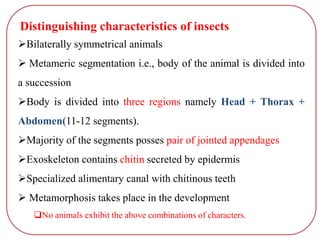 Distinguishing characteristics of insects
Bilaterally symmetrical animals
 Metameric segmentation i.e., body of the animal is divided into
a succession
Body is divided into three regions namely Head + Thorax +
Abdomen(11-12 segments).
Majority of the segments posses pair of jointed appendages
Exoskeleton contains chitin secreted by epidermis
Specialized alimentary canal with chitinous teeth
 Metamorphosis takes place in the development
No animals exhibit the above combinations of characters.
 