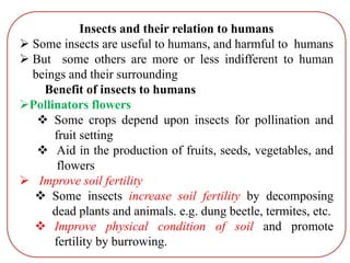 Insects and their relation to humans
 Some insects are useful to humans, and harmful to humans
 But some others are more or less indifferent to human
beings and their surrounding
Benefit of insects to humans
Pollinators flowers
 Some crops depend upon insects for pollination and
fruit setting
 Aid in the production of fruits, seeds, vegetables, and
flowers
 Improve soil fertility
 Some insects increase soil fertility by decomposing
dead plants and animals. e.g. dung beetle, termites, etc.
 Improve physical condition of soil and promote
fertility by burrowing.
 