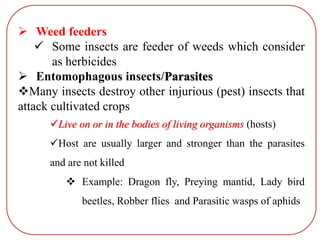  Weed feeders
 Some insects are feeder of weeds which consider
as herbicides
 Entomophagous insects/Parasites
Many insects destroy other injurious (pest) insects that
attack cultivated crops
Live on or in the bodies of living organisms (hosts)
Host are usually larger and stronger than the parasites
and are not killed
 Example: Dragon fly, Preying mantid, Lady bird
beetles, Robber flies and Parasitic wasps of aphids
 