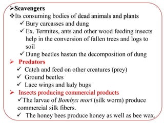Scavengers
Its consuming bodies of dead animals and plants
 Bury carcasses and dung
 Ex. Termites, ants and other wood feeding insects
help in the conversion of fallen trees and logs to
soil
 Dung beetles hasten the decomposition of dung
 Predators
 Catch and feed on other creatures (prey)
 Ground beetles
 Lace wings and lady bugs
 Insects producing commercial products
The larvae of Bombyx mori (silk worm) produce
commercial silk fibers.
 The honey bees produce honey as well as bee wax.
 