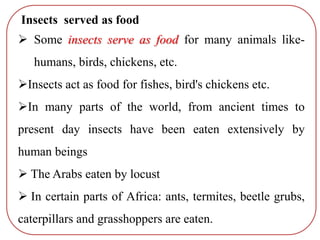 Insects served as food
 Some insects serve as food for many animals like-
humans, birds, chickens, etc.
Insects act as food for fishes, bird's chickens etc.
In many parts of the world, from ancient times to
present day insects have been eaten extensively by
human beings
 The Arabs eaten by locust
 In certain parts of Africa: ants, termites, beetle grubs,
caterpillars and grasshoppers are eaten.
 