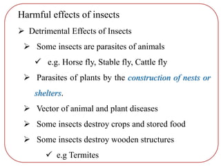 Harmful effects of insects
 Detrimental Effects of Insects
 Some insects are parasites of animals
 e.g. Horse fly, Stable fly, Cattle fly
 Parasites of plants by the construction of nests or
shelters.
 Vector of animal and plant diseases
 Some insects destroy crops and stored food
 Some insects destroy wooden structures
 e.g Termites
 