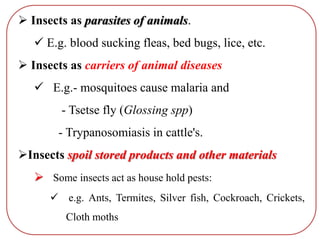  Insects as parasites of animals.
 E.g. blood sucking fleas, bed bugs, lice, etc.
 Insects as carriers of animal diseases
 E.g.- mosquitoes cause malaria and
- Tsetse fly (Glossing spp)
- Trypanosomiasis in cattle's.
Insects spoil stored products and other materials
 Some insects act as house hold pests:
 e.g. Ants, Termites, Silver fish, Cockroach, Crickets,
Cloth moths
 